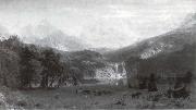 Albert Bierstadt Die Rocke Mountains Sweden oil painting artist